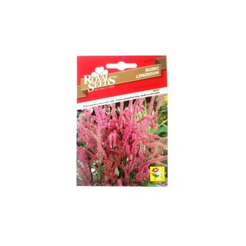  Ruski Limoniium Royal Seeds Cijene