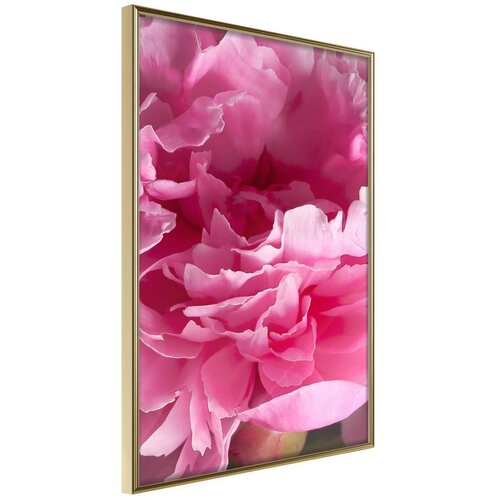  Poster - Magenta Madness 30x45 Slike
