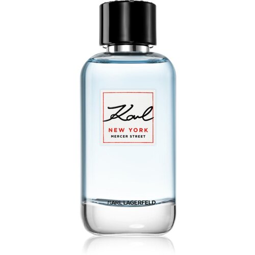 Karl Lagerfeld Karl New York Mercer Street toaletna voda 100 ml za moške Cene