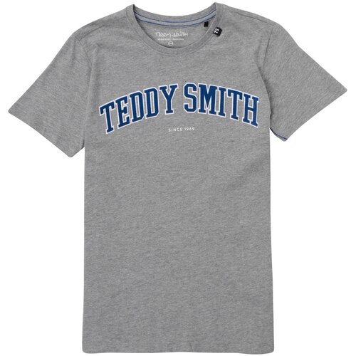 Teddy Smith majice s kratkimi rokavi T-FELT Siva Slike