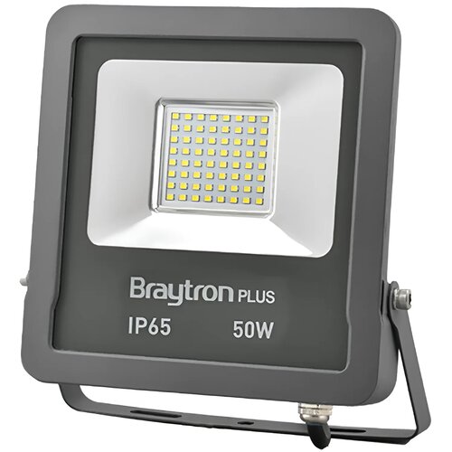 Braytron LED Reflektor 50W Sivi Zeleni IP65 BT61-05052 Cene