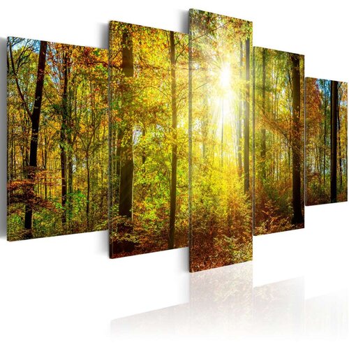  Slika - Mystical Forest 100x50 Slike