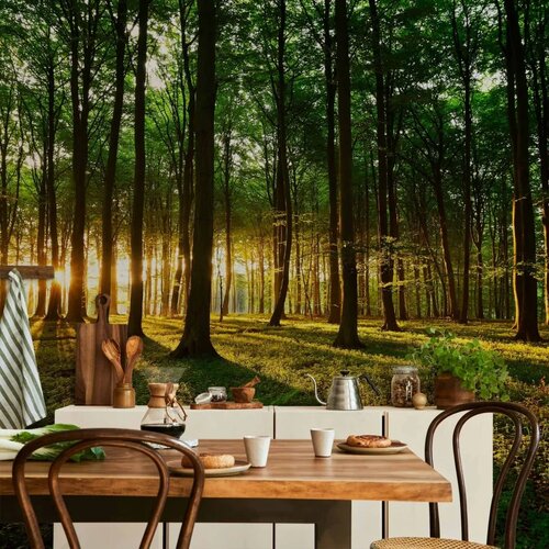  Foto tapeta - Mystical Morning 250x175 Vodootporna Cijene