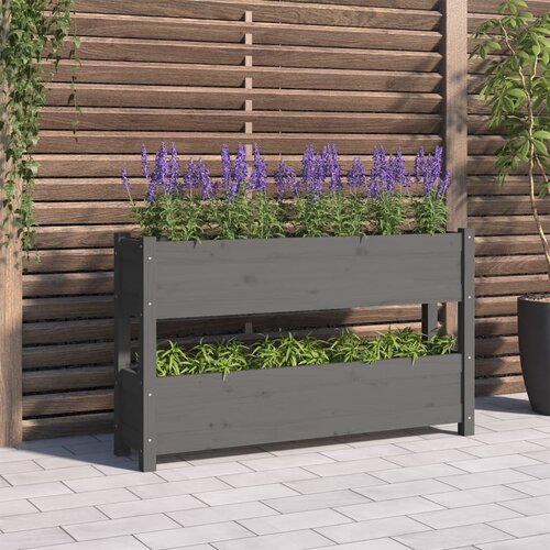 vidaXL visoka greda siva 112x25x66 cm trdna borovina Cene