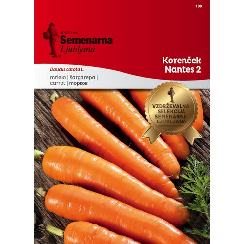  Korenček "Nantes 2" - 7 g Cene