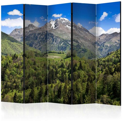  Paravan u 5 dijelova - Holiday in the mountains II [Room Dividers] 225x172 Slike