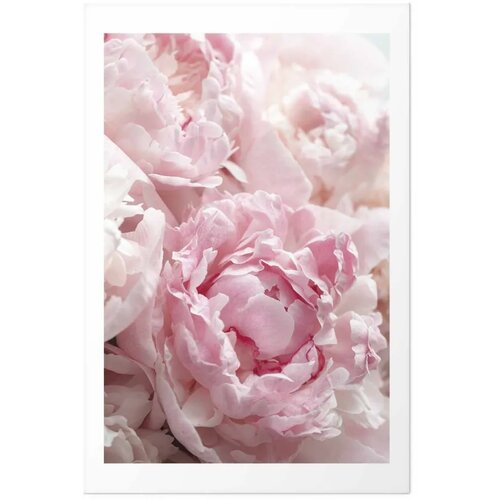  Plakat Morning Nostalgia 40x60 Cene