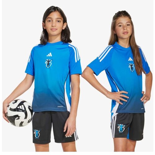 Adidas Jb tr jsy y Cene