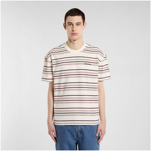 Dickies Majice s kratkimi rokavi East liberty stripe tee Bež Slike