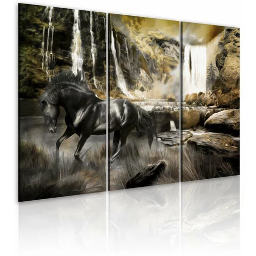 Slika - Black horse and rocky waterfall 60x40