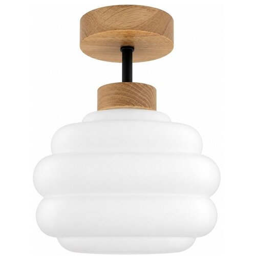 Brilagi LED plafonski luster RETRO GLASS 1xE27/60W/230V &amp;Oslash; 20 cm hrast/bela Slike