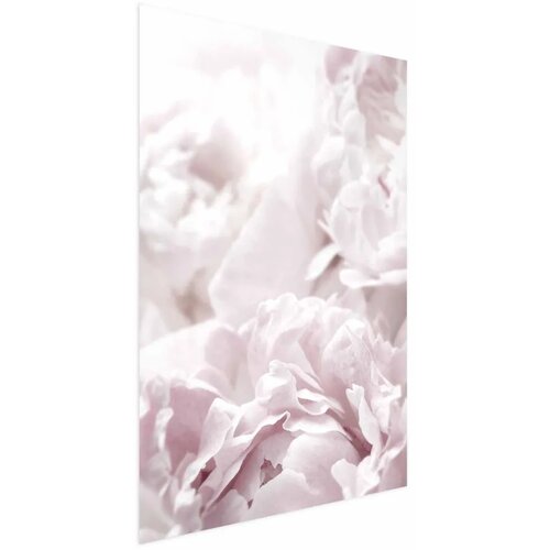  Plakat Fluffy Peonies 60x90 Cijene