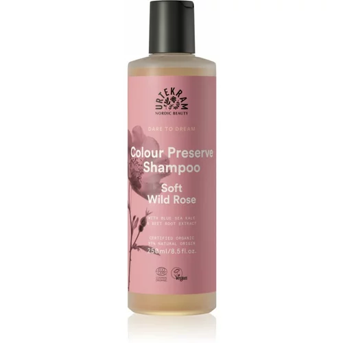 Urtekram Soft Wild Rose nježni šampon za obojenu kosu 250 ml