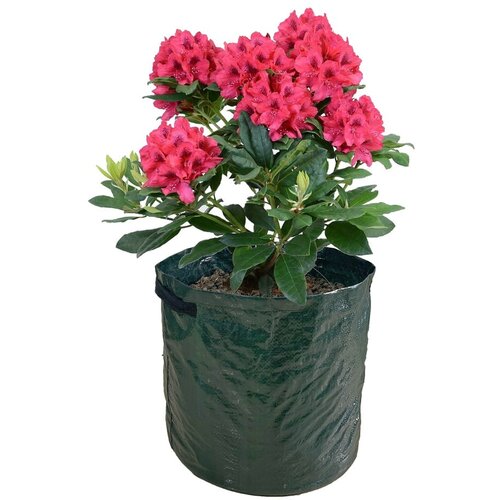 Garden Pleasure Vreča za gojenje 2 ks – Cene
