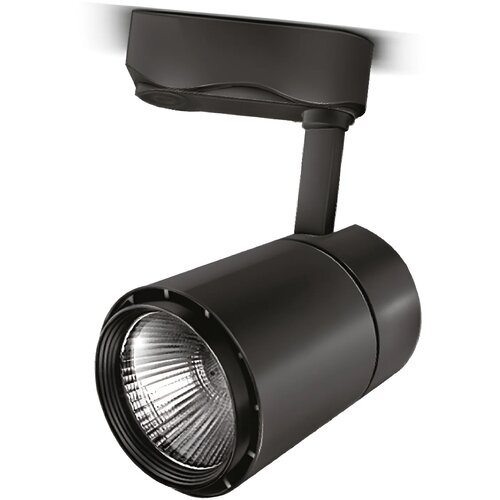 Braytron LED Šinski Reflektor 30W Crni 3000K Monofazni BD30-01701 Cene