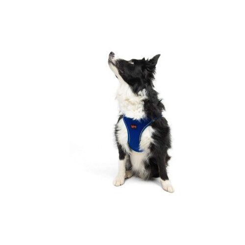 Paws &amp;amp; Whiskers am za pse air-mesh, plavi Slike