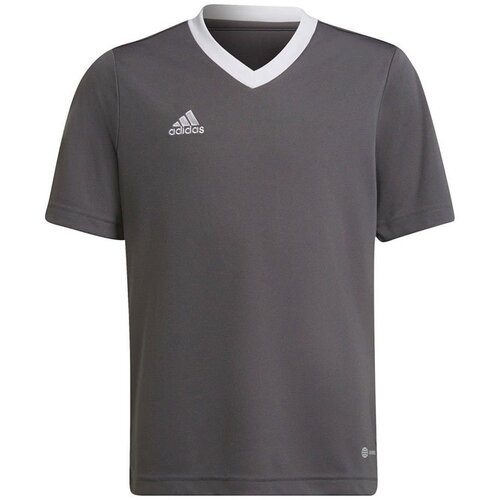 Adidas Entrada 22 Jsy Slike
