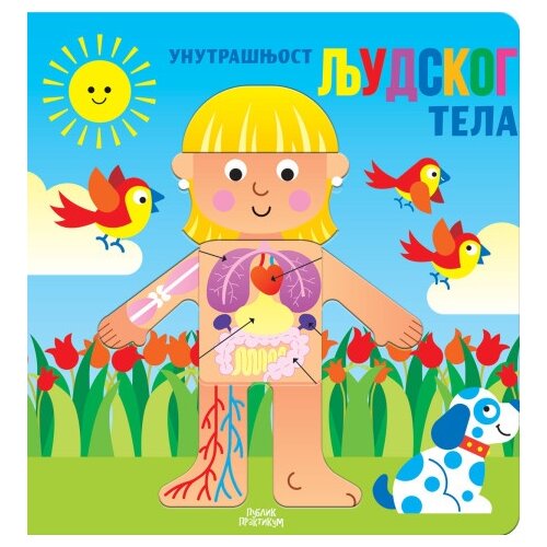 Publik Praktikum Unutra&scaron;njost ljudskog tela ( 1911 ) Cene