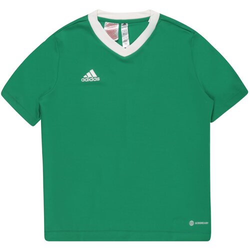 Adidas ENT22 JSY Y Dječji nogometni dres, zelena, veličina Cene