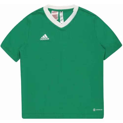 Adidas ENT22 JSY Y Dječji nogometni dres, zelena, veličina