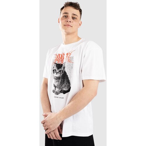 Arbor Kitten T-shirt white Slike