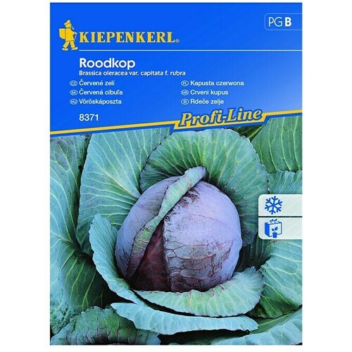 KIEPENKERL Zelenjavna semena rdečega zelja Roodkop (Brassica oleracea var. capitata f. rubra, Čas žetve: Avgust) Cene