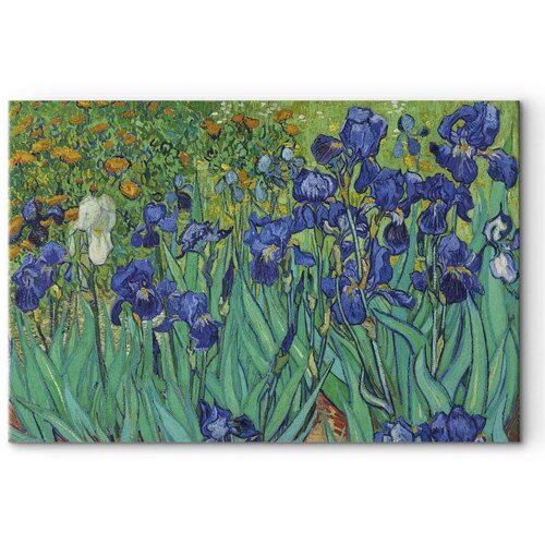  Slika - Vincent Van Gogh &ndash; Iryses 60x40 Standard Cijene
