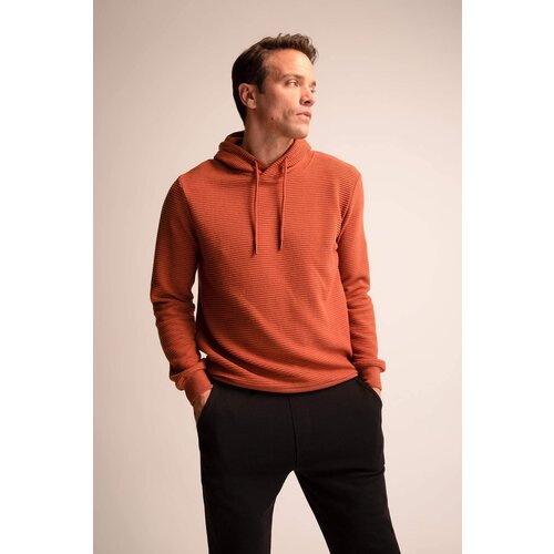 Defacto Regular Fit Sweatshirt Slike