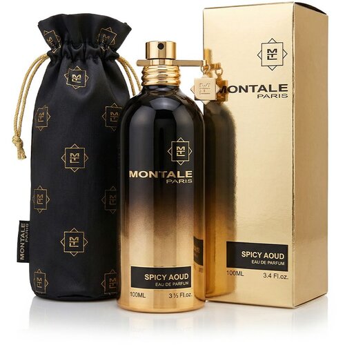 Montale Paris Spicy Aoud Eau de Parfum 100 ml unisex Slike