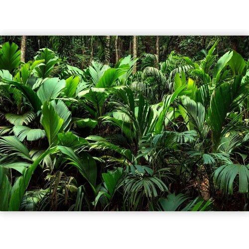  Foto tapeta - Freshness of the Jungle 300x210 Cijene