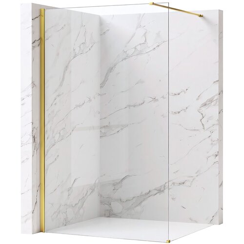 Rea Stena za prhanje Flexi Transparent / Gold 70 Cene