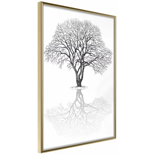  Poster - Roots or Treetop? 30x45