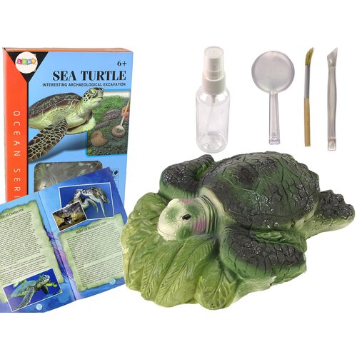 Ammonite Turtle Excavation Educational Kit Cene