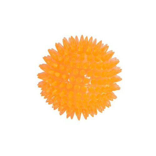 Camon dog igračka lopta bodljikava tpr guma 6.5cm AD070/A Cene