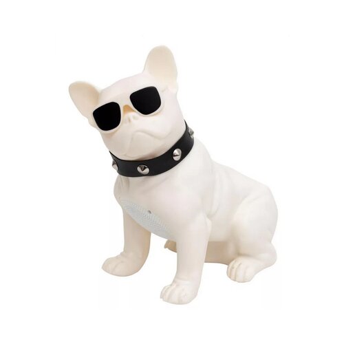 Sal pas multimedijski zvučnik (BT DOG) Slike
