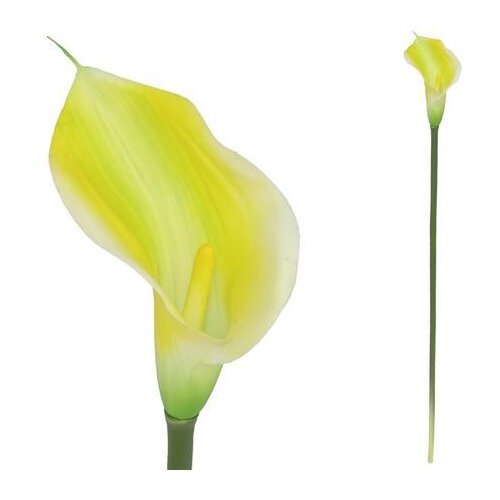  CVIJEĆE KALA 72 CM ŽUTA PVC Slike