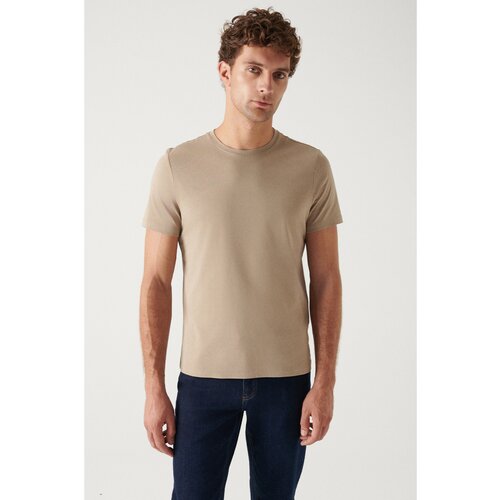 Avva Men's Mink 100% Cotton Breathable Crew Neck Standard Fit Regular Cut T-shirt Slike