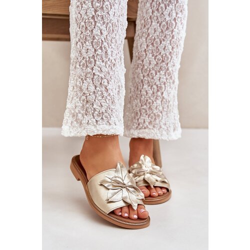 Lewski Shoes Slippers With Decoration Natural Leather Zazoo 3667 Golden Cene