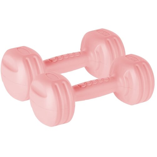 Rebel ACTIVE Bitumenske bučice za fitnes par 2x1.5kg RBA-2306 Cene