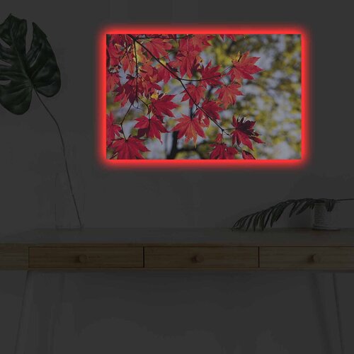 Wallity Slika sa LED osvetljenjem 4570DHDACT-064, 45x70 cm Cene