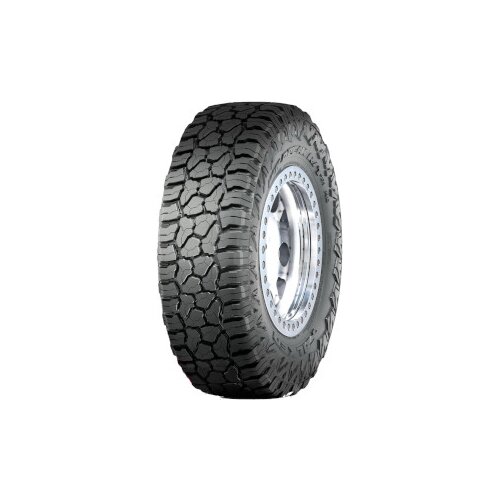 Falken WILDPEAK R/T RT01 ( LT285/65 R18 121/118Q, POR BLK ) Cijene