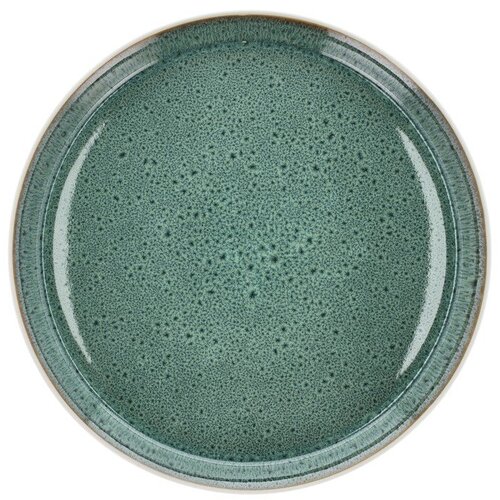 Bitz Bel/zelen krožnik iz kamenine ø 27 cm White/Green – Cene