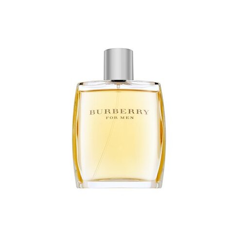 Burberry For Men toaletna voda 100 ml za moške Cene