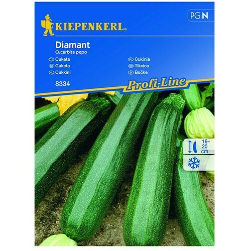 KIEPENKERL Zelenjavna semena bučke zucchini Diamant (Cucurbita pepo, Čas žetve: Junij) Slike