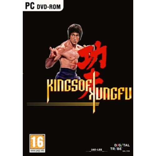 Steam Kings of Kung Fu Key GLOBAL Cene