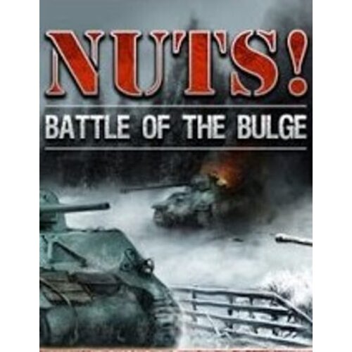 Nuts! The Battle of the Bulge Steam Key GLOBAL Cene