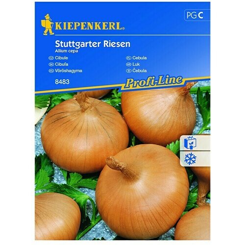 KIEPENKERL Profi-Line Sjeme povrća Luk Sttutgarter Riesen (Allium cepa, Berba: Rujan, 6 m&amp;sup2;) Slike