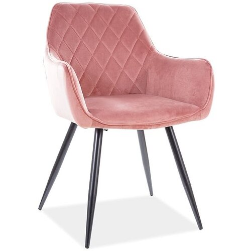 Molarem Home Stolica Linea BARŠ.-roza Cene