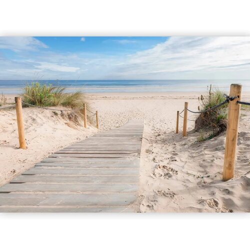  Foto tapeta - On the beach 100x70 Premium Slike