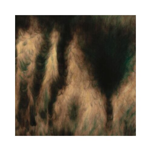  BASINSKI, WILLIAM - LAMENTATIONS Cene